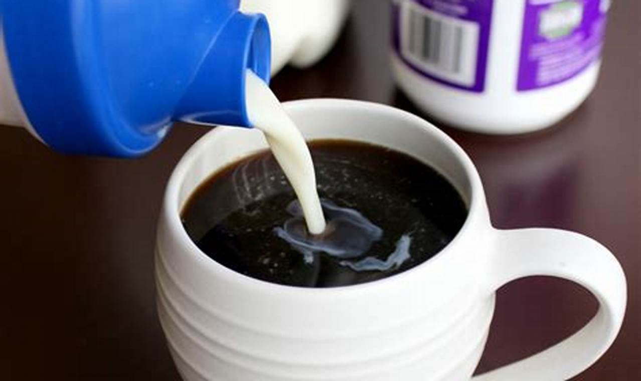 Boost Your Brew: Protein Creamer Coffee Benefits The Ultimate Coffee Guide: Types, Brewing Methods & Best Beans Boost Your Brew: Protein Creamer Coffee Benefits | The Ultimate Coffee Guide: Types, Brewing Methods & Best Beans