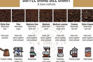 Best Ground Coffee for Cold Brew: Brew Like a Pro! The Ultimate Coffee Guide: Types, Brewing Methods & Best Beans Best Ground Coffee for Cold Brew: Brew Like a Pro! | The Ultimate Coffee Guide: Types, Brewing Methods & Best Beans