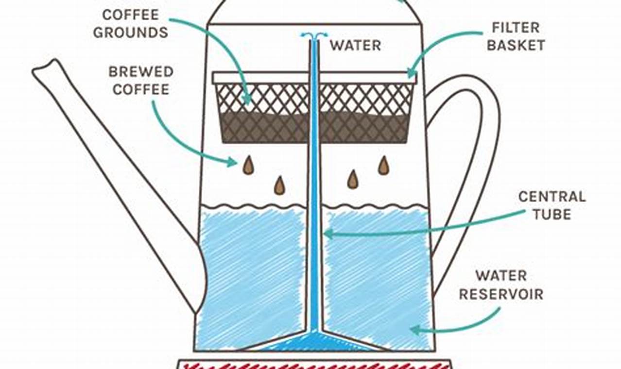 Easy Coffee: How to Make Coffee on Stove Top Percolator, Guide The Ultimate Coffee Guide: Types, Brewing Methods & Best Beans Easy Coffee: How to Make Coffee on Stove Top Percolator, Guide | The Ultimate Coffee Guide: Types, Brewing Methods & Best Beans