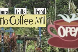 Benefits of Coffee Hilo: A Calcium Coffee Boost The Ultimate Coffee Guide: Types, Brewing Methods & Best Beans Benefits of Coffee Hilo: A Calcium Coffee Boost | The Ultimate Coffee Guide: Types, Brewing Methods & Best Beans