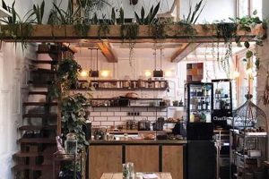 Unlocking Bohemian Coffee: Culture, Art &amp; Your Brew | The Ultimate Coffee Guide: Types, Brewing Methods & Best Beans