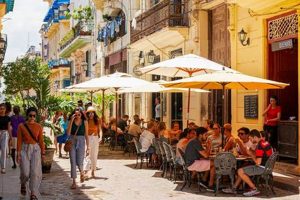 Discover: Coffee Shops in Havana, Cuba (Guide) The Ultimate Coffee Guide: Types, Brewing Methods & Best Beans Discover: Coffee Shops in Havana, Cuba (Guide) | The Ultimate Coffee Guide: Types, Brewing Methods & Best Beans