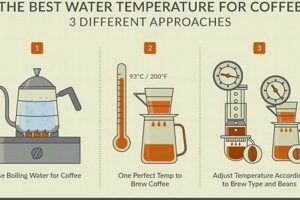 Pour Over Perfection: Ideal Water Temperature Guide The Ultimate Coffee Guide: Types, Brewing Methods & Best Beans Pour Over Perfection: Ideal Water Temperature Guide | The Ultimate Coffee Guide: Types, Brewing Methods & Best Beans