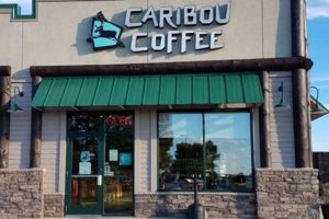 Best Coffee Shops in Alexandria MN: Local Brews & More The Ultimate Coffee Guide: Types, Brewing Methods & Best Beans Best Coffee Shops in Alexandria MN: Local Brews & More | The Ultimate Coffee Guide: Types, Brewing Methods & Best Beans