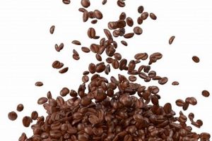 Get PNG Coffee Beans: Perfect Images Here! The Ultimate Coffee Guide: Types, Brewing Methods & Best Beans Get PNG Coffee Beans: Perfect Images Here! | The Ultimate Coffee Guide: Types, Brewing Methods & Best Beans