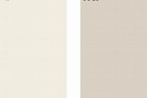 Pale Oak vs. Swiss Coffee: Paint Color Showdown! The Ultimate Coffee Guide: Types, Brewing Methods & Best Beans Pale Oak vs. Swiss Coffee: Paint Color Showdown! | The Ultimate Coffee Guide: Types, Brewing Methods & Best Beans