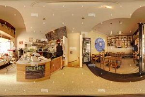 Complete 360 Coffee: Bean to Cup Excellence The Ultimate Coffee Guide: Types, Brewing Methods & Best Beans Complete 360 Coffee: Bean to Cup Excellence | The Ultimate Coffee Guide: Types, Brewing Methods & Best Beans