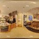 Complete 360 Coffee: Bean to Cup Excellence | The Ultimate Coffee Guide: Types, Brewing Methods & Best Beans
