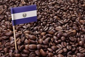 Best El Salvador Coffee Beans: Taste the Volcano! The Ultimate Coffee Guide: Types, Brewing Methods & Best Beans Best El Salvador Coffee Beans: Taste the Volcano! | The Ultimate Coffee Guide: Types, Brewing Methods & Best Beans