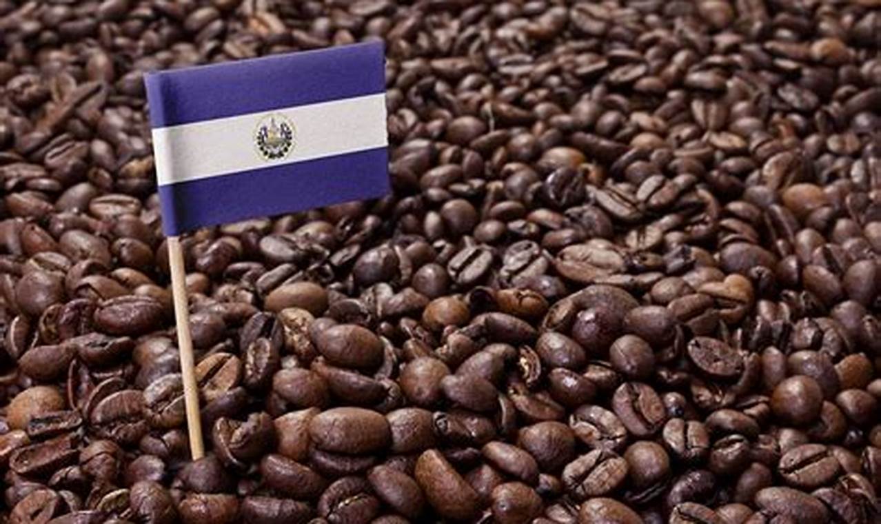 Best El Salvador Coffee Beans: Taste the Volcano! The Ultimate Coffee Guide: Types, Brewing Methods & Best Beans Best El Salvador Coffee Beans: Taste the Volcano! | The Ultimate Coffee Guide: Types, Brewing Methods & Best Beans