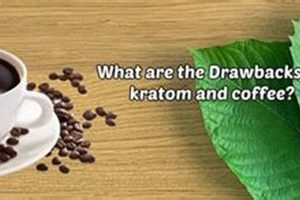 Unlocking Kratom & Coffee: Benefits, Risks & More The Ultimate Coffee Guide: Types, Brewing Methods & Best Beans Unlocking Kratom & Coffee: Benefits, Risks & More | The Ultimate Coffee Guide: Types, Brewing Methods & Best Beans