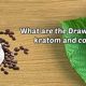Unlocking Kratom & Coffee: Benefits, Risks & More | The Ultimate Coffee Guide: Types, Brewing Methods & Best Beans
