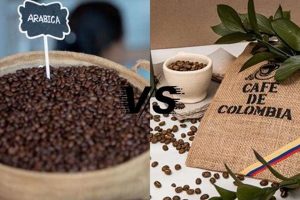 Arabica Coffee vs Colombian: Which Coffee is the BEST? The Ultimate Coffee Guide: Types, Brewing Methods & Best Beans Arabica Coffee vs Colombian: Which Coffee is the BEST? | The Ultimate Coffee Guide: Types, Brewing Methods & Best Beans