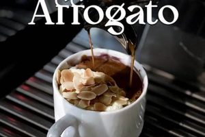 Elevate Your Feast: Best Coffee for Celebrations The Ultimate Coffee Guide: Types, Brewing Methods & Best Beans Elevate Your Feast: Best Coffee for Celebrations | The Ultimate Coffee Guide: Types, Brewing Methods & Best Beans