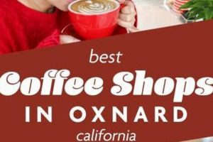Best Coffee Shops in Oxnard: Your Local Guide! The Ultimate Coffee Guide: Types, Brewing Methods & Best Beans Best Coffee Shops in Oxnard: Your Local Guide! | The Ultimate Coffee Guide: Types, Brewing Methods & Best Beans