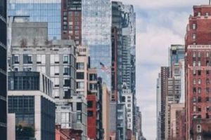 NYC in Pages: The Ultimate New York Coffee Table Book Guide The Ultimate Coffee Guide: Types, Brewing Methods & Best Beans NYC in Pages: The Ultimate New York Coffee Table Book Guide | The Ultimate Coffee Guide: Types, Brewing Methods & Best Beans