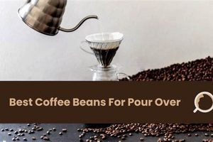 Elevate Pour Over: The Best Coffee Beans [Guide] | The Ultimate Coffee Guide: Types, Brewing Methods & Best Beans