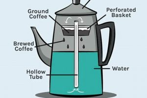 Percolator Perfection: How to Make Amazing Stovetop Coffee The Ultimate Coffee Guide: Types, Brewing Methods & Best Beans Percolator Perfection: How to Make Amazing Stovetop Coffee | The Ultimate Coffee Guide: Types, Brewing Methods & Best Beans
