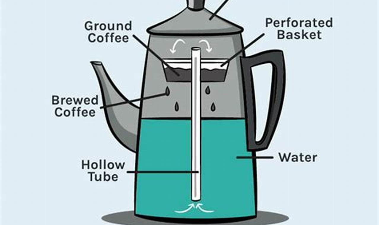 Percolator Perfection: How to Make Amazing Stovetop Coffee The Ultimate Coffee Guide: Types, Brewing Methods & Best Beans Percolator Perfection: How to Make Amazing Stovetop Coffee | The Ultimate Coffee Guide: Types, Brewing Methods & Best Beans