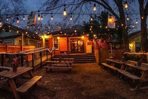 Best DFW Coffee Shops: Your Local Guide & More The Ultimate Coffee Guide: Types, Brewing Methods & Best Beans Best DFW Coffee Shops: Your Local Guide & More | The Ultimate Coffee Guide: Types, Brewing Methods & Best Beans