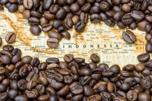 Best Coffee From Indonesia: Your Flavorful Guide The Ultimate Coffee Guide: Types, Brewing Methods & Best Beans Best Coffee From Indonesia: Your Flavorful Guide | The Ultimate Coffee Guide: Types, Brewing Methods & Best Beans