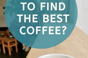 Your Guide to The Best Coffee Amsterdam | Top Spots The Ultimate Coffee Guide: Types, Brewing Methods & Best Beans Your Guide to The Best Coffee Amsterdam | Top Spots | The Ultimate Coffee Guide: Types, Brewing Methods & Best Beans