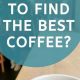 Your Guide to The Best Coffee Amsterdam | Top Spots | The Ultimate Coffee Guide: Types, Brewing Methods & Best Beans