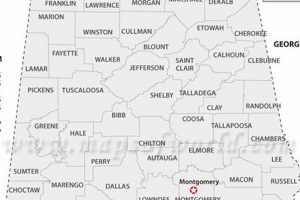 Unlock Coffee County GIS AL Data: Maps & More The Ultimate Coffee Guide: Types, Brewing Methods & Best Beans Unlock Coffee County GIS AL Data: Maps & More | The Ultimate Coffee Guide: Types, Brewing Methods & Best Beans