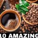 Fasting? Coffee with Stevia: Safe or Not? | The Ultimate Coffee Guide: Types, Brewing Methods & Best Beans