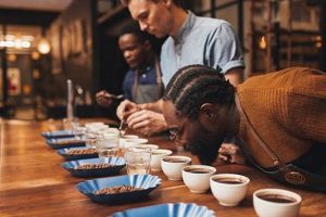 The Coffee Connoisseur's Guide: Bean to Brew Tips The Ultimate Coffee Guide: Types, Brewing Methods & Best Beans The Coffee Connoisseur's Guide: Bean to Brew Tips | The Ultimate Coffee Guide: Types, Brewing Methods & Best Beans