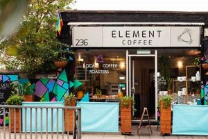 Master The Elements Coffee: Brew Like a Pro! The Ultimate Coffee Guide: Types, Brewing Methods & Best Beans Master The Elements Coffee: Brew Like a Pro! | The Ultimate Coffee Guide: Types, Brewing Methods & Best Beans