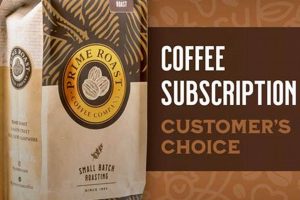 Discover Choice Coffee Co: Premium Coffee Beans The Ultimate Coffee Guide: Types, Brewing Methods & Best Beans Discover Choice Coffee Co: Premium Coffee Beans | The Ultimate Coffee Guide: Types, Brewing Methods & Best Beans