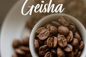 Buy Geisha Green Coffee Beans - Fresh & Rare The Ultimate Coffee Guide: Types, Brewing Methods & Best Beans Buy Geisha Green Coffee Beans - Fresh & Rare | The Ultimate Coffee Guide: Types, Brewing Methods & Best Beans