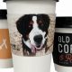 Personalized Coffee Cup Sleeves Custom – Brand Your Brew! | The Ultimate Coffee Guide: Types, Brewing Methods & Best Beans