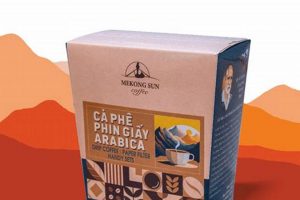 Mekong Sun Coffee: Aromatic Brews, Ethical Sourcing | The Ultimate Coffee Guide: Types, Brewing Methods & Best Beans
