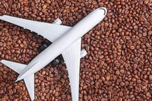 Flying with Coffee: Can I Take Coffee Grounds On A Plane? Tips & Rules The Ultimate Coffee Guide: Types, Brewing Methods & Best Beans Flying with Coffee: Can I Take Coffee Grounds On A Plane? Tips & Rules | The Ultimate Coffee Guide: Types, Brewing Methods & Best Beans
