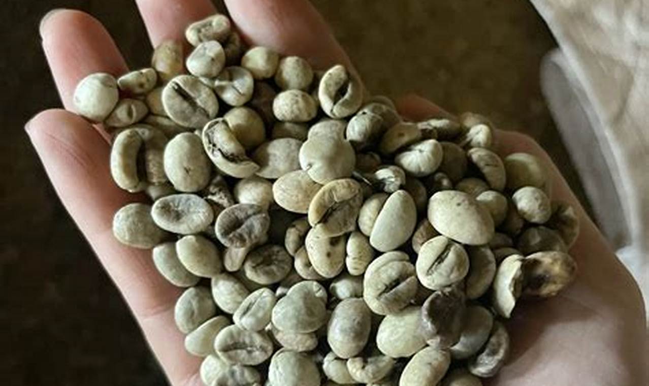 Buy Green Coffee Beans Houston: Roast Your Own! The Ultimate Coffee Guide: Types, Brewing Methods & Best Beans Buy Green Coffee Beans Houston: Roast Your Own! | The Ultimate Coffee Guide: Types, Brewing Methods & Best Beans