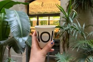Nomad Coffee Lab & Shop: Your Specialty Brew Spot The Ultimate Coffee Guide: Types, Brewing Methods & Best Beans Nomad Coffee Lab & Shop: Your Specialty Brew Spot | The Ultimate Coffee Guide: Types, Brewing Methods & Best Beans