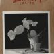 Your Dilworth Coffee Guide: Blends, Beans & Brews | The Ultimate Coffee Guide: Types, Brewing Methods & Best Beans