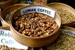 Discover Bali Coffee: Flavor, Farms & More The Ultimate Coffee Guide: Types, Brewing Methods & Best Beans Discover Bali Coffee: Flavor, Farms & More | The Ultimate Coffee Guide: Types, Brewing Methods & Best Beans