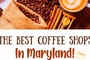Best Coffee Shops in Maryland: Find Your Perfect Brew! The Ultimate Coffee Guide: Types, Brewing Methods & Best Beans Best Coffee Shops in Maryland: Find Your Perfect Brew! | The Ultimate Coffee Guide: Types, Brewing Methods & Best Beans
