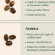 Best Sweetest Type of Coffee Beans: A Guide & More | The Ultimate Coffee Guide: Types, Brewing Methods & Best Beans