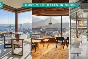 Best Coffee Shops In Seoul Korea The Ultimate Coffee Guide: Types, Brewing Methods & Best Beans Best Coffee Shops In Seoul Korea | The Ultimate Coffee Guide: Types, Brewing Methods & Best Beans