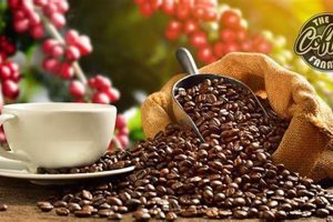 Best Caramel Coffee Beans: Sweet & Delicious Brew The Ultimate Coffee Guide: Types, Brewing Methods & Best Beans Best Caramel Coffee Beans: Sweet & Delicious Brew | The Ultimate Coffee Guide: Types, Brewing Methods & Best Beans