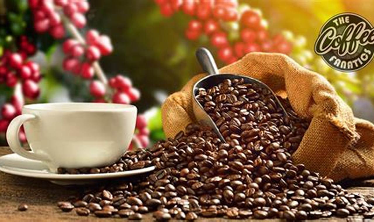 Best Caramel Coffee Beans: Sweet & Delicious Brew The Ultimate Coffee Guide: Types, Brewing Methods & Best Beans Best Caramel Coffee Beans: Sweet & Delicious Brew | The Ultimate Coffee Guide: Types, Brewing Methods & Best Beans