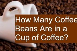 Coffee Brew: How Many Coffee Beans for a Perfect Cup? The Ultimate Coffee Guide: Types, Brewing Methods & Best Beans Coffee Brew: How Many Coffee Beans for a Perfect Cup? | The Ultimate Coffee Guide: Types, Brewing Methods & Best Beans