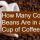 Coffee Brew: How Many Coffee Beans for a Perfect Cup? | The Ultimate Coffee Guide: Types, Brewing Methods & Best Beans
