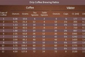 Coffee Grounds: How Much For 10 Cups? [Brew Guide] | The Ultimate Coffee Guide: Types, Brewing Methods & Best Beans