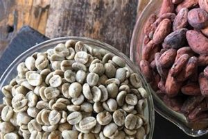 Discover Cacao Coffee Beans: Flavorful Fusion! The Ultimate Coffee Guide: Types, Brewing Methods & Best Beans Discover Cacao Coffee Beans: Flavorful Fusion! | The Ultimate Coffee Guide: Types, Brewing Methods & Best Beans