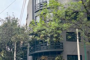Best Coffee Shops Mexico City: A Traveler's Guide The Ultimate Coffee Guide: Types, Brewing Methods & Best Beans Best Coffee Shops Mexico City: A Traveler's Guide | The Ultimate Coffee Guide: Types, Brewing Methods & Best Beans